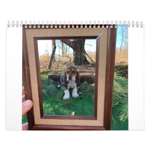 Basset-Hundekalender Kalender (Titelbild)