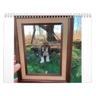 Basset-Hundekalender Kalender