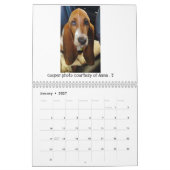 Basset-Hundekalender Kalender (Jan 2027)