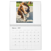 Basset-Hundekalender Kalender (Feb 2027)