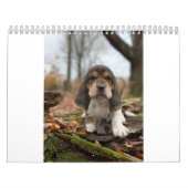 Basset-Hundekalender Kalender (Titelbild)