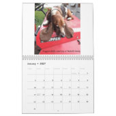 Basset-Hundekalender Kalender (Jan 2027)