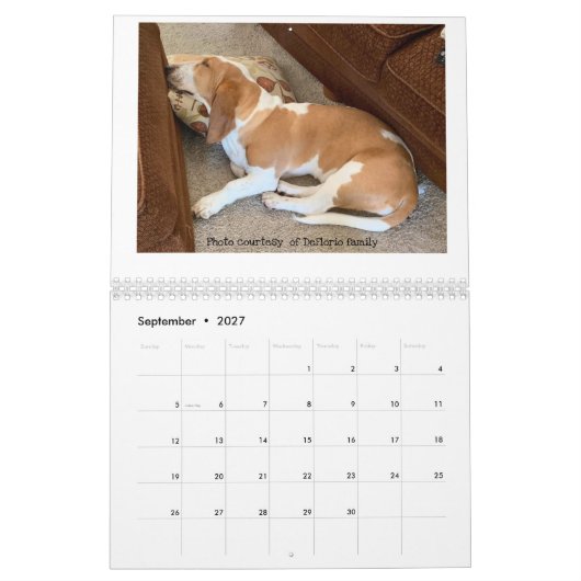 Basset-Hundekalender Kalender (Sep 2027)