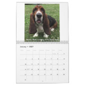 Basset-Hundekalender Kalender (Jan 2027)