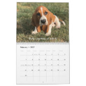 Basset-Hundekalender Kalender (Feb 2027)