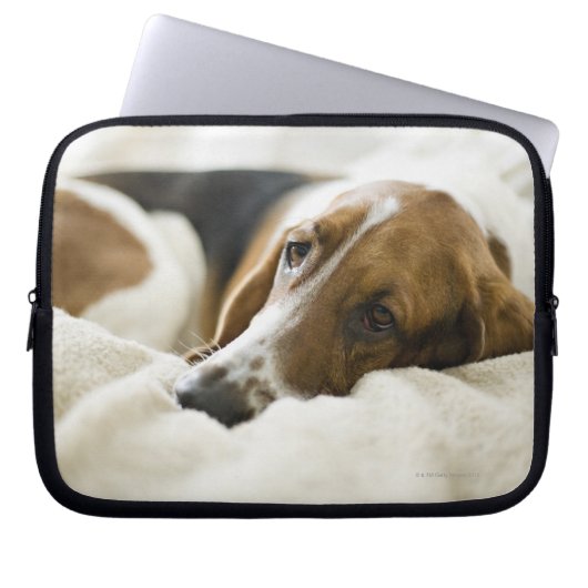 Basset-Jagdhund Laptopschutzhülle (Vorderseite)