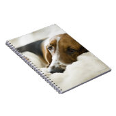 Basset-Jagdhund Notizblock (Rechte Seite)