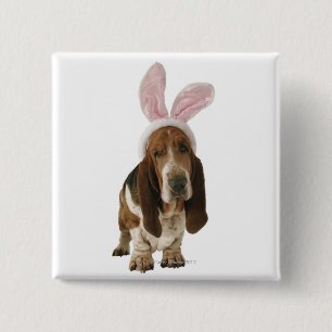 Basset mit den Häschenohren Button