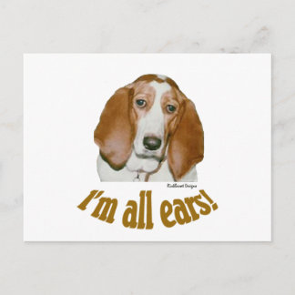 Basset Ohren Postkarte