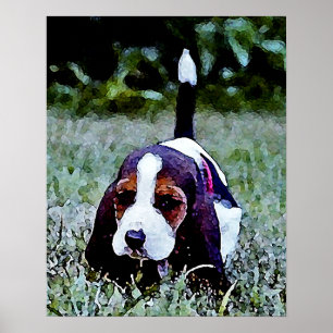 Basset Puppy Walking - Black Brown White Poster