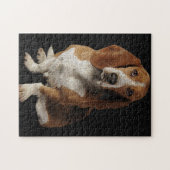 Basset Puzzle (Horizontal)