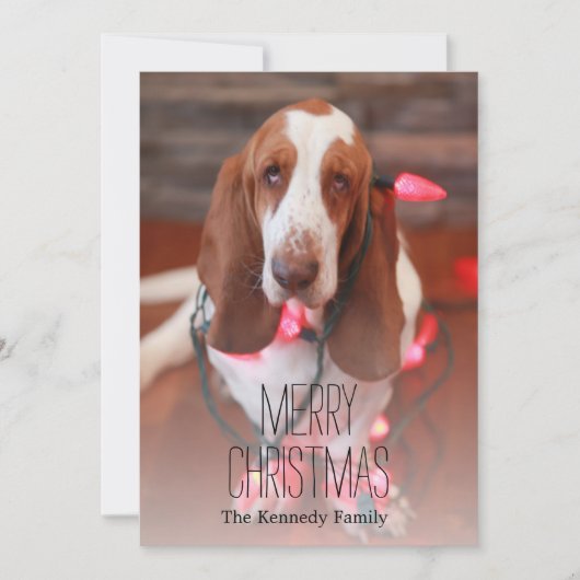 Basset, Weihnachten, Weihnachten (Vorderseite)