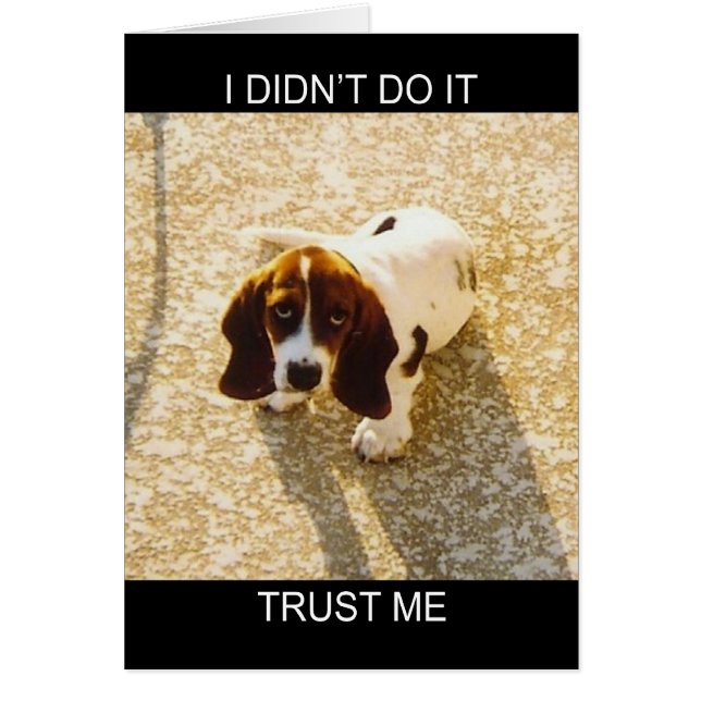 Bassett Hound Cards (Vorne)