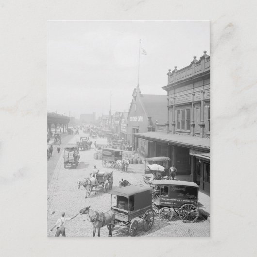 Bassett Ice Cream Postkarte (Vorderseite)