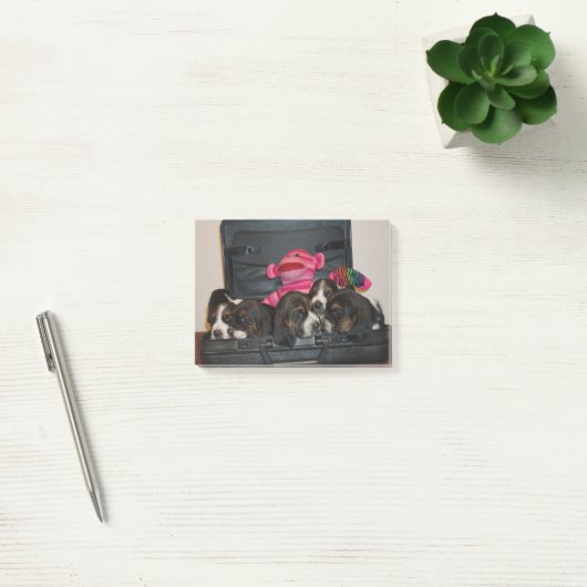 Bassetwelpen-Notizblock Post-it Klebezettel (Büro)