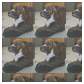 Bassetwelpengewebe Stoff (Muster)