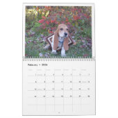 Bassetwelpenkalender 2019 kalender (Feb 2026)
