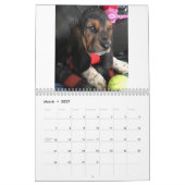 Bassetwelpenkalender 2019 kalender (Mär 2027)