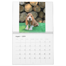 Bassetwelpenkalender Kalender