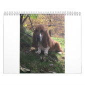 Bassetwelpenkalender Kalender (Titelbild)