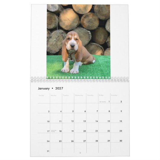 Bassetwelpenkalender Kalender (Jan 2027)