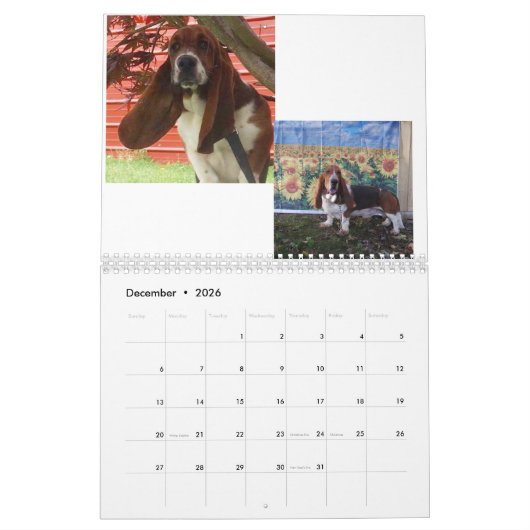 Bassetwelpenkalender Kalender (Dez 2026)