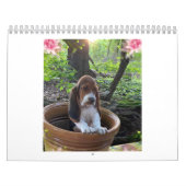 Bassetwelpenkalender Kalender (Titelbild)