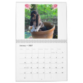 Bassetwelpenkalender Kalender (Jan 2027)