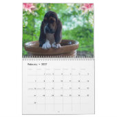 Bassetwelpenkalender Kalender (Feb 2027)