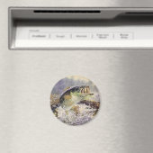 Bassfisch Magnet (In Situ (Geschirrspüler))