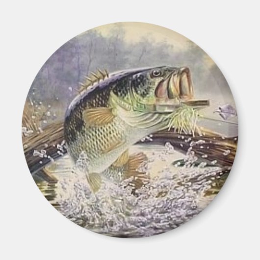 Bassfisch Magnet (Vorne)