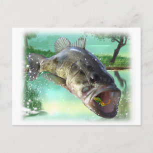Bassgrün Postkarte