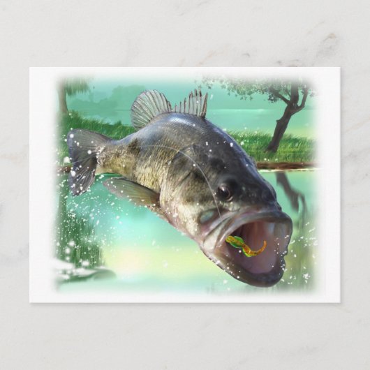 Bassgrün Postkarte (Vorderseite)
