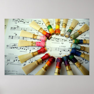 Bassoon Reed Rainbow Poster