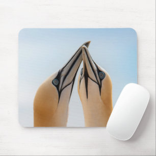 Basstölpel Helgoland Deutschland Morus Gel Maus Mousepad