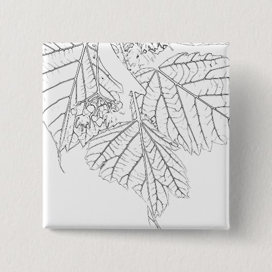 Basswood-Blätter Button (Vorderseite)