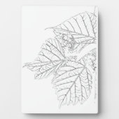 Basswood-Blätter Fotoplatte (Vorderseite)