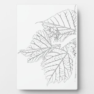 Basswood-Blätter Fotoplatte