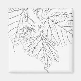 Basswood-Blätter Magnet