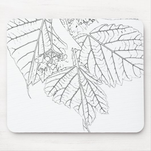 Basswood-Blätter Mousepad (Vorne)