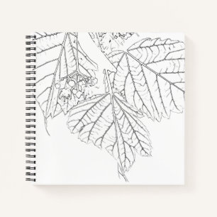 Basswood-Blätter Notizblock