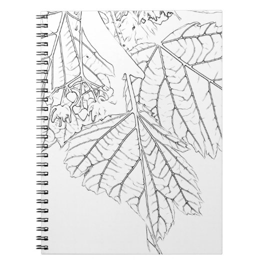 Basswood-Blätter Notizblock (Vorderseite)