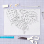 Basswood-Blätter Seidenpapier (Handwerk)