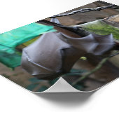 Bat (3) - Plakat/Druck Poster (Ecke)