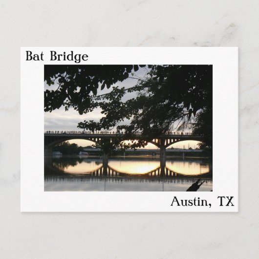 Bat Bridge in Austin, Texas Postcard Postkarte (Vorderseite)
