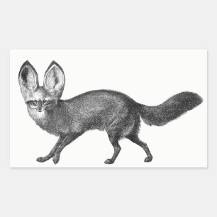 Bat Eared Fox Stickers