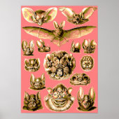 Bat Face Poster (Vorne)