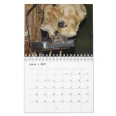 Bat/Fledermaus als Kalender (Jan 2027)