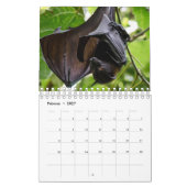 Bat/Fledermaus als Kalender (Feb 2027)