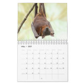 Bat/Fledermaus als Kalender (Mär 2027)